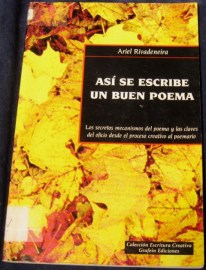 ASI SE ESCRIBE UN BUEN POEMA